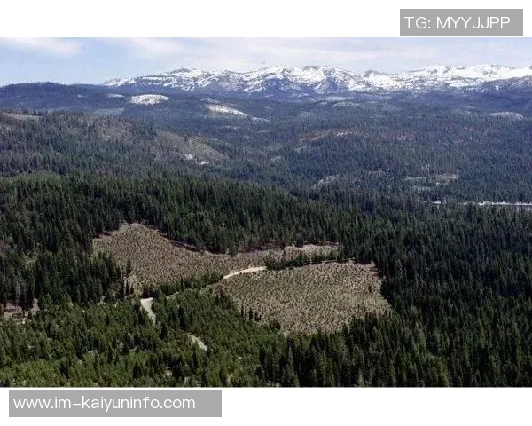 美国最大私人土地拥有者克伦克牧场资产逼近40亿美元引发关注